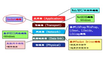 哈工大計算機網(wǎng)絡Week2 網(wǎng)絡應用數(shù)據(jù)交換與計算機編程